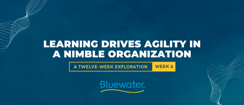 Driving Agility Through Learning in a Nimble Organization